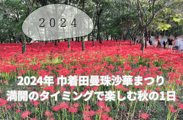 2024年 巾着田曼珠沙華まつり　満開のタイミングで楽しむ秋の1日